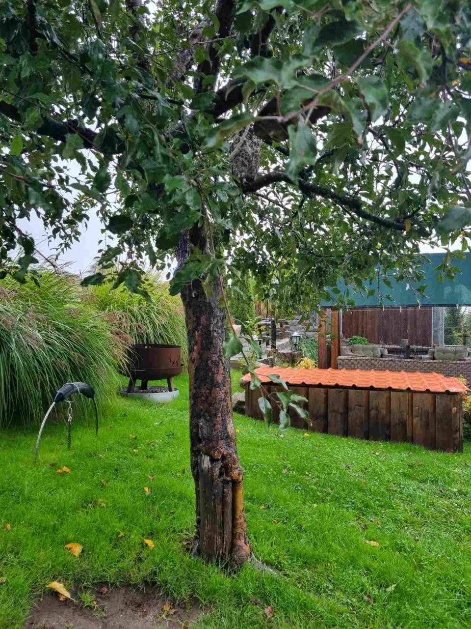 Oktober - Regionalwandertag Abtsgmünd